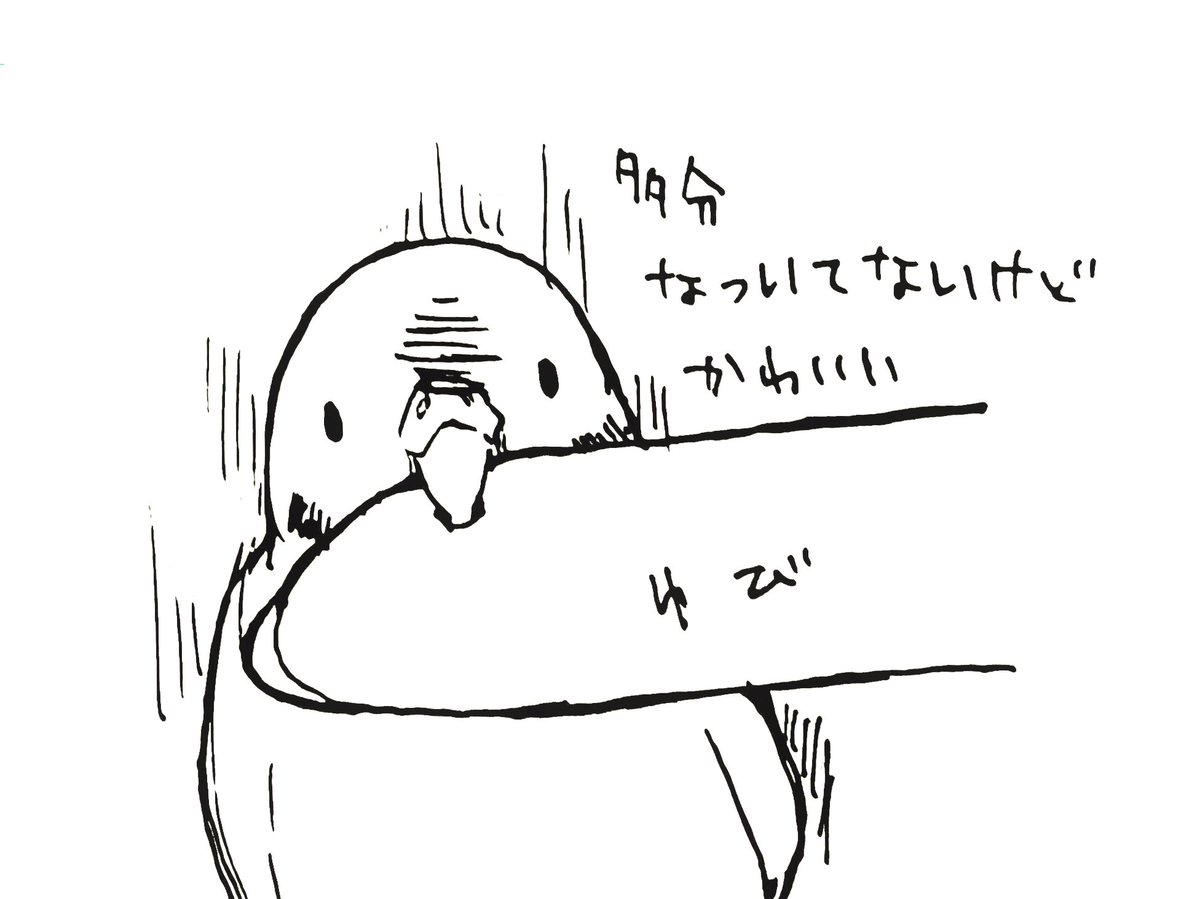 インターネットにいるたくさんの可愛いトリちゃんに対してうちのトリちゃん多分全然懐いてないんですけどいてくれるだけで可愛いです 