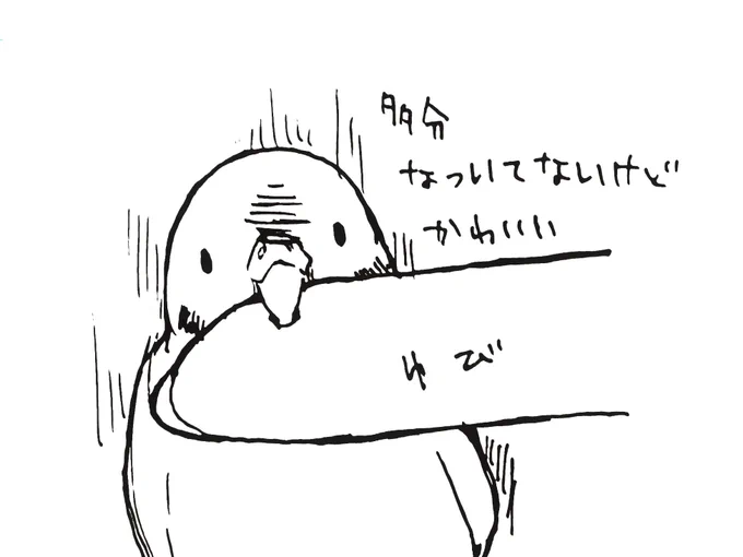 インターネットにいるたくさんの可愛いトリちゃんに対してうちのトリちゃん多分全然懐いてないんですけどいてくれるだけで可愛いです 
