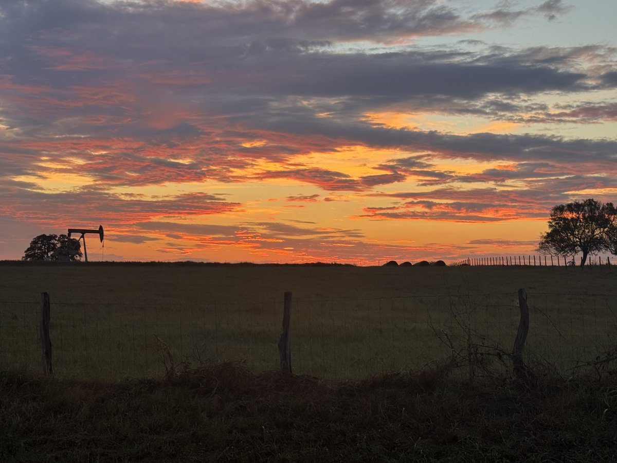 Mrs_Urgent_Fury's tweet photo. Little glimpse of my ‘hood this evening 😏#TexasBorn #TexasNative #countrygirl https://t.co/K3HbvRF5q1
