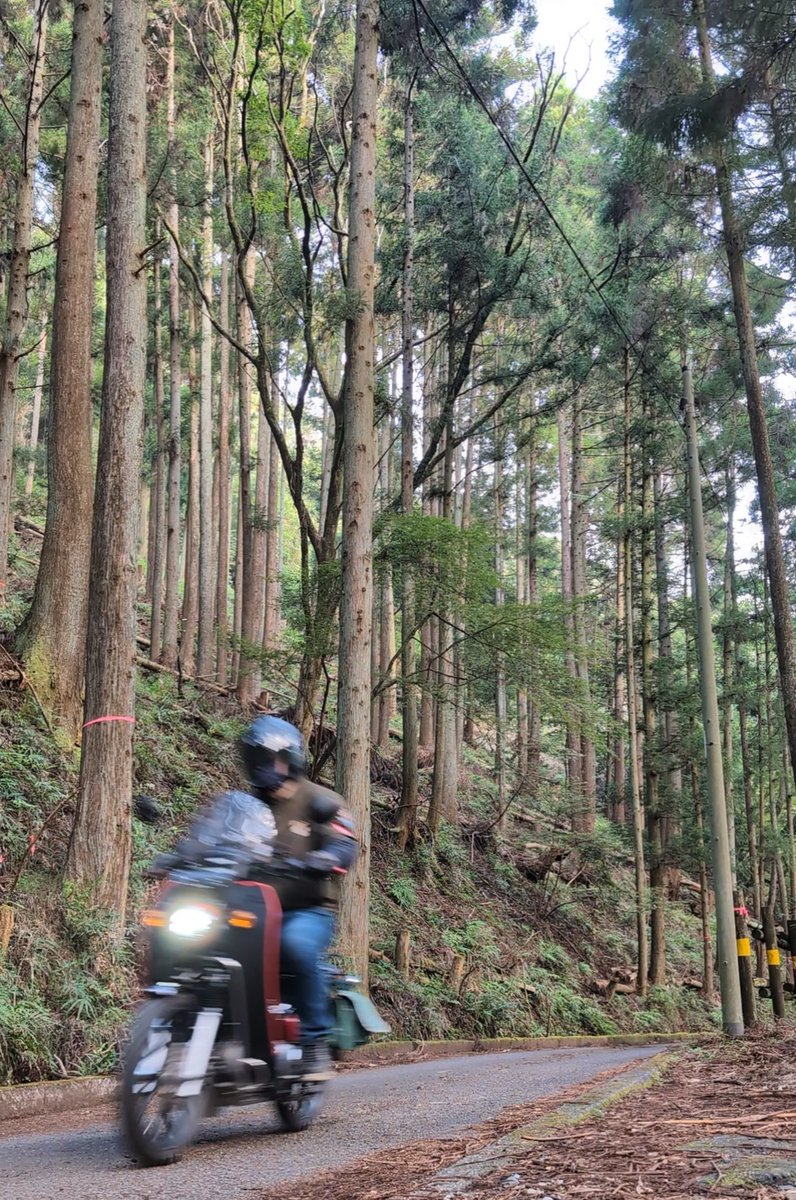#バイク写真はライダーがいて完成する
#走行自撮り
#ソロツーリング
#クロスカブ
#JA60