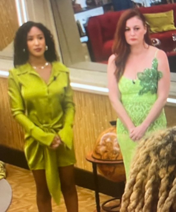 bb__bestie's tweet photo. something abt rylie spending so much time calling rachel and ashley snakes for him to be evicted while they’re both in green 💚 #BB27 https://t.co/BY08VT3vHE