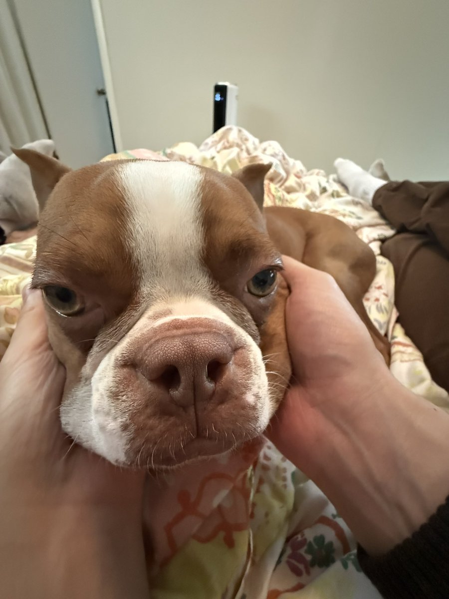 Anisa Jomha tweet media