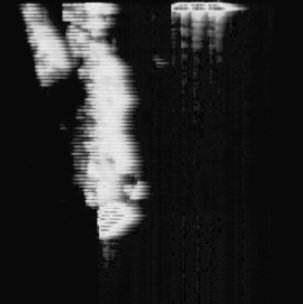 liki_shelf tweet media