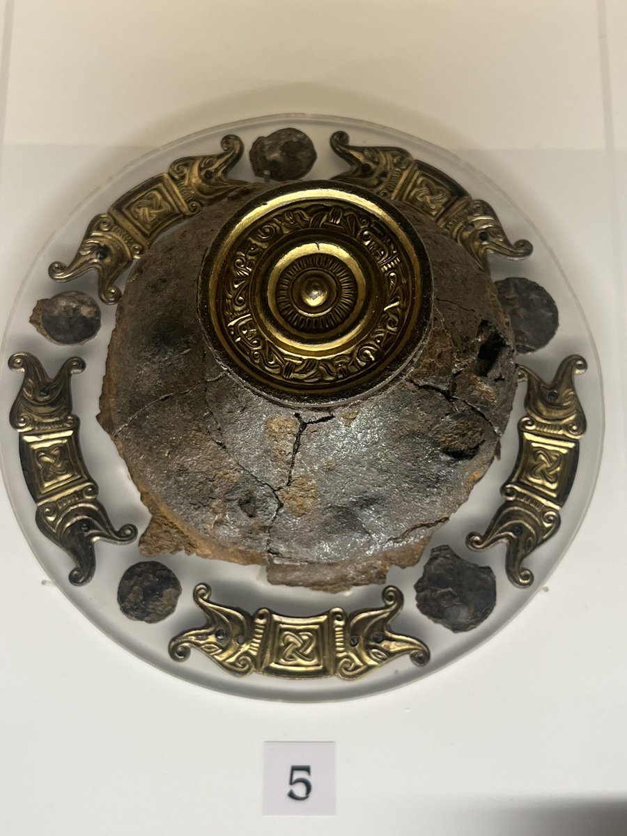 Signe Pike tweet media