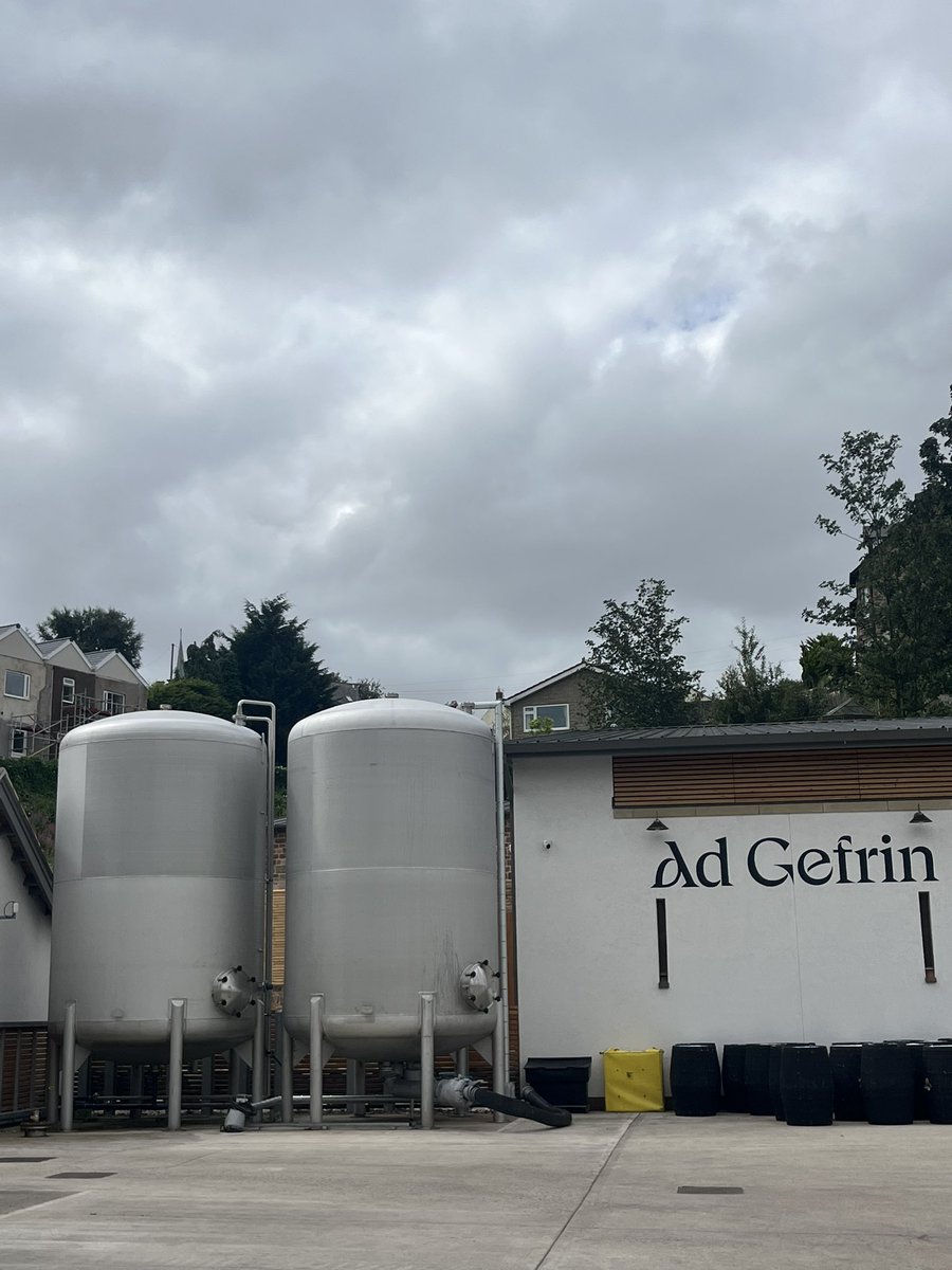 Signe Pike tweet media