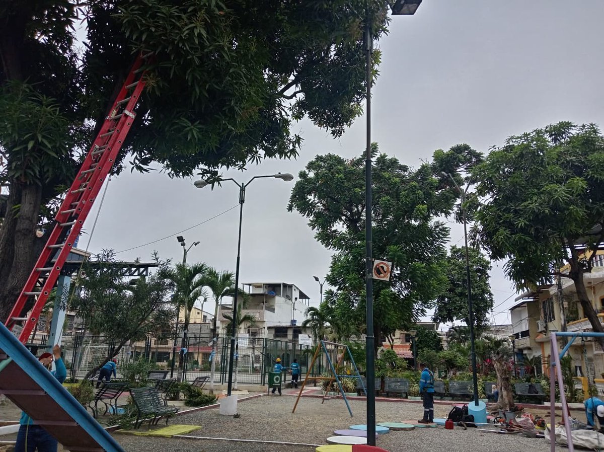 parquesgye's tweet photo. 🌳El parque de la Mz. 316 en Sauces 6 fue intervenido con poda, limpieza y desalojo. Acciones reales para mejorar la calidad de vida en nuestros barrios. #CiudadDetodos #Guayaquil #ParquesEP @alcaldiagye @aquilesalvarez https://t.co/Hl6uyMSKvD