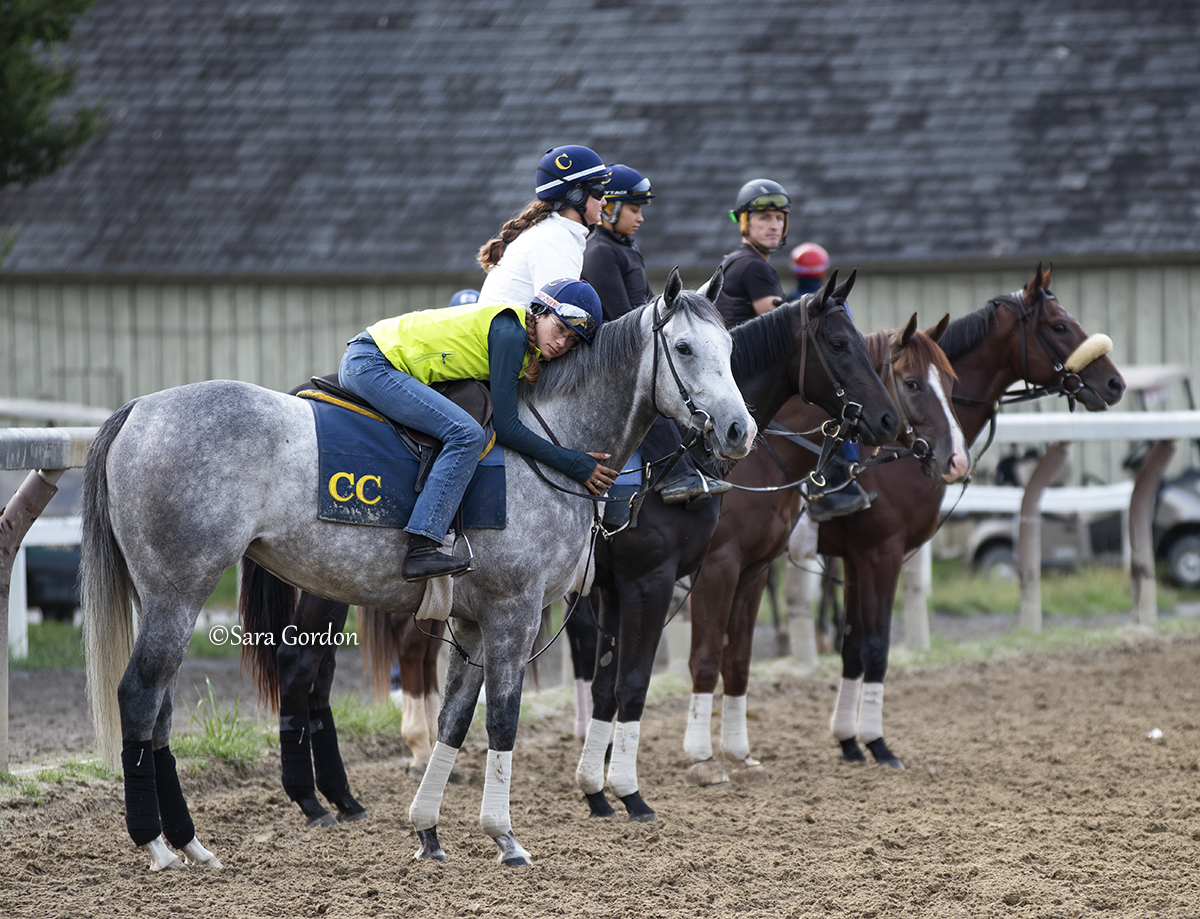 This ❤️ <a href="/clementstable/">Clement Racing Stable</a>
