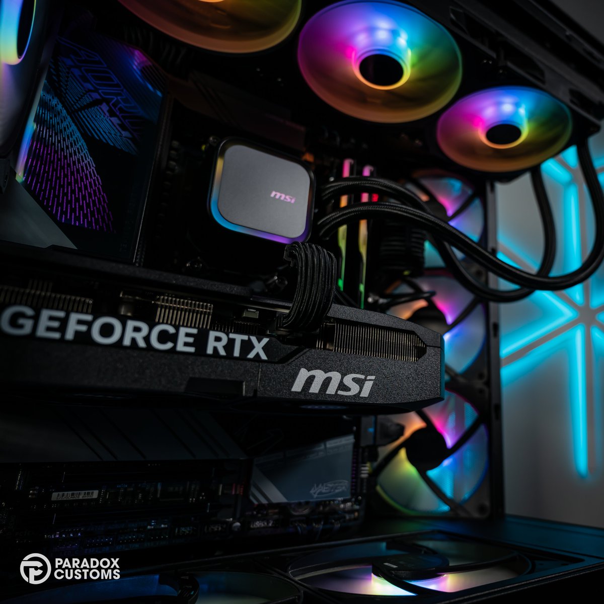 Paradox Customs tweet media