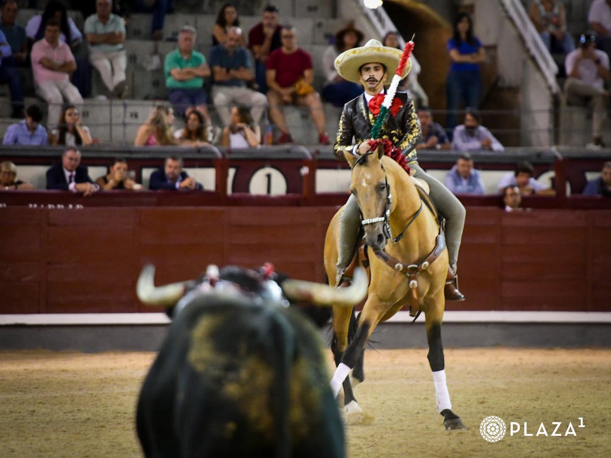 Portal Taurino tweet media