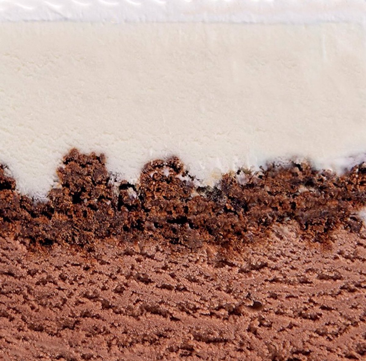 if they cut my brain open it would look like this