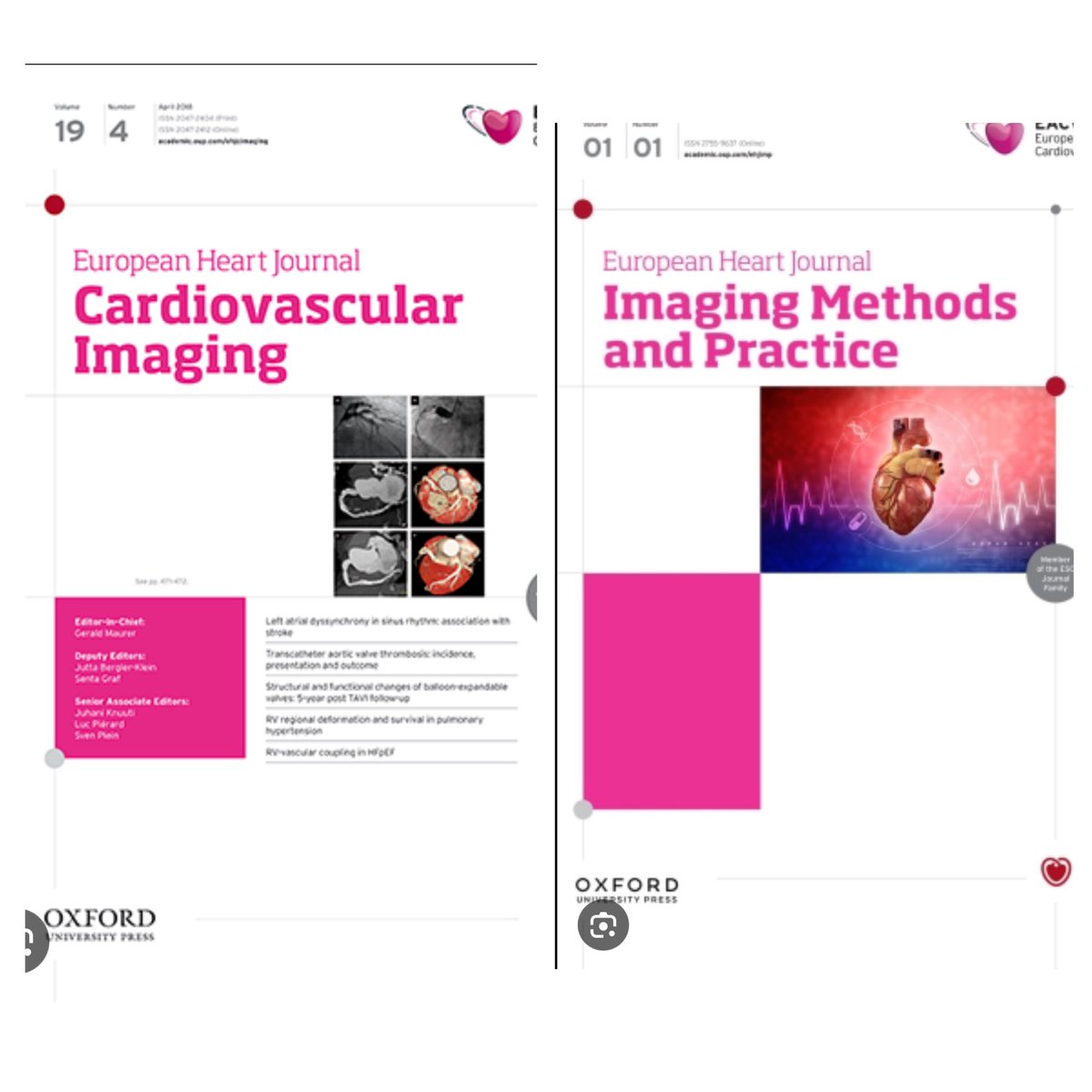 JGrapsa's tweet image. Dear #ESCCongress abstract presenters, if the topic of your research is #multimodality #imaging consider submitting your manuscript to #EHJCVI or #EHJIMP , official #EACVI @EACVIPresident journals
Find more information here #EHJCVI ➡️ academic.oup.com/ehjcimaging
#EHJIMP ➡️…