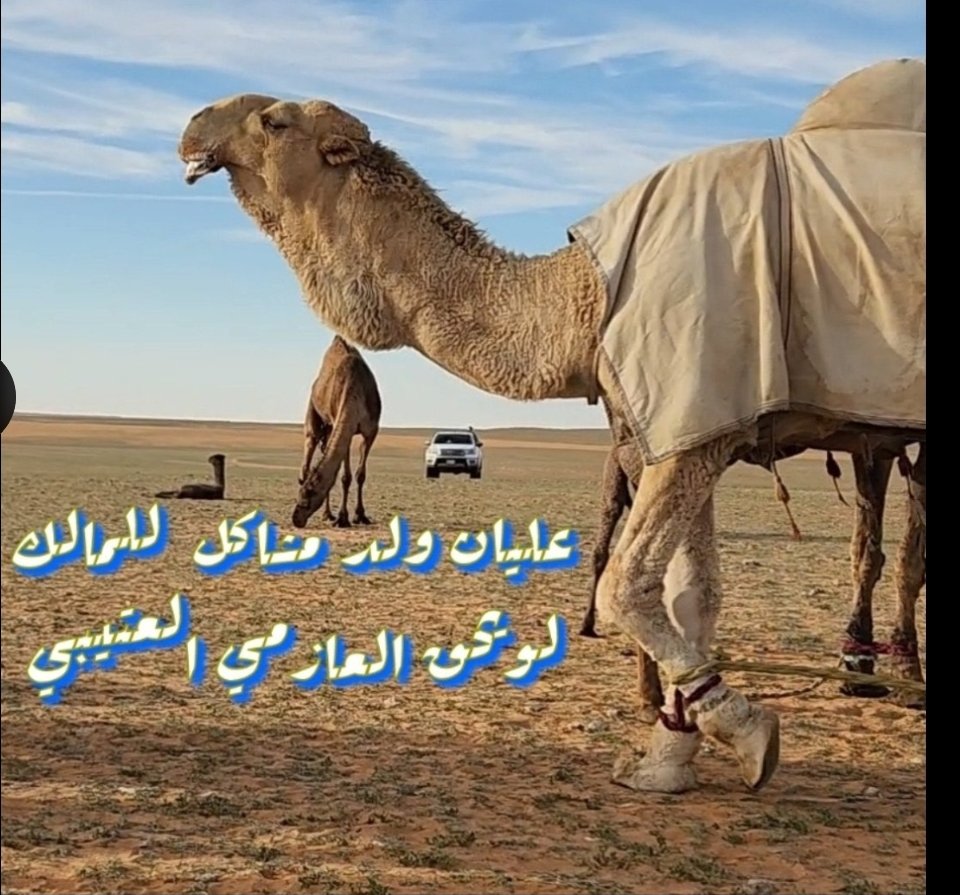 alksb511 tweet media