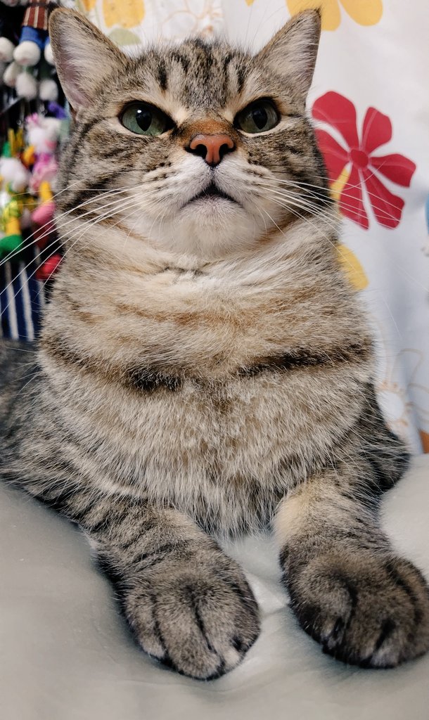 おさよ〜ちょっとお寝坊さんしちゃつてごめんね