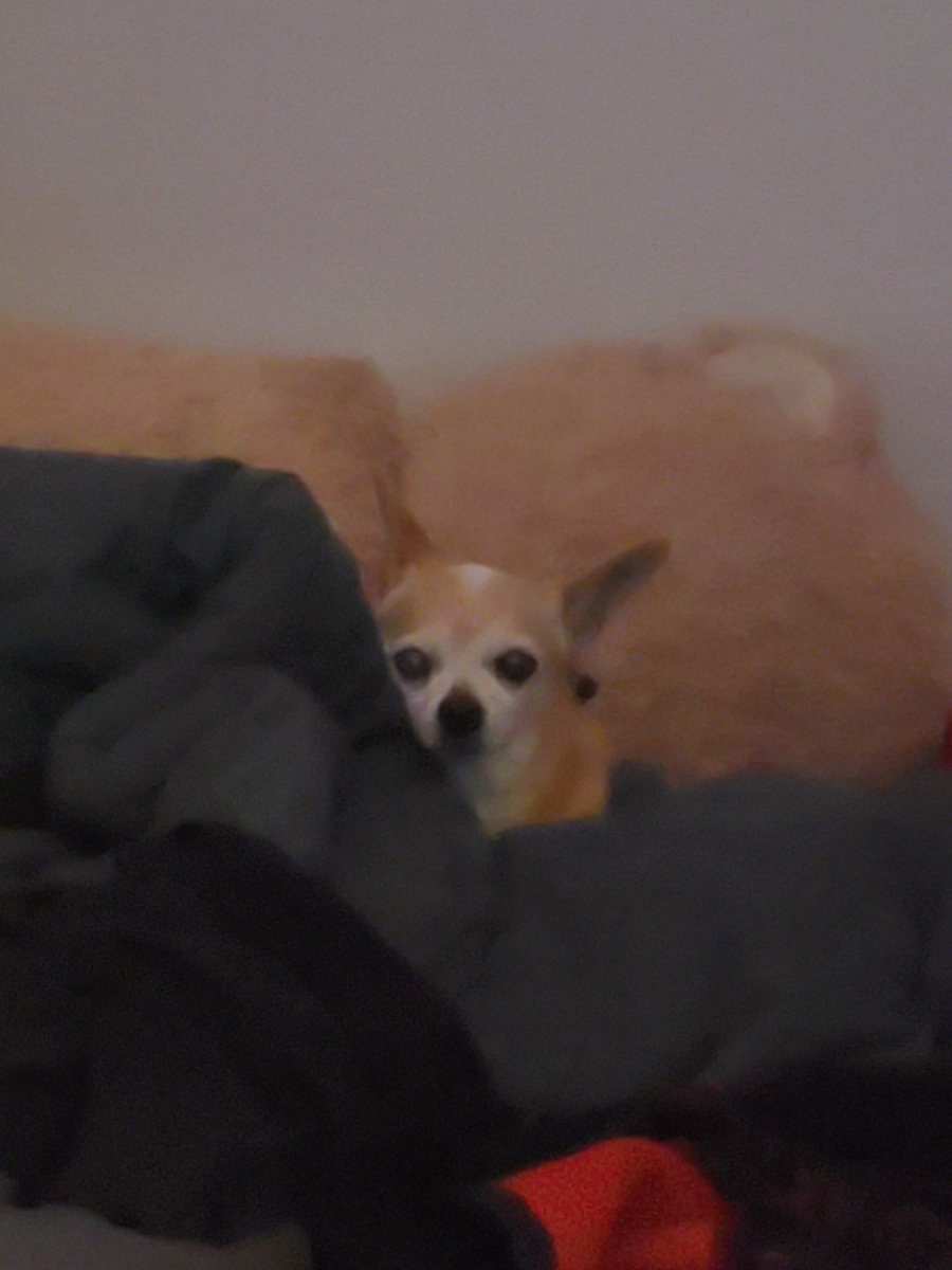 Always watching youuu