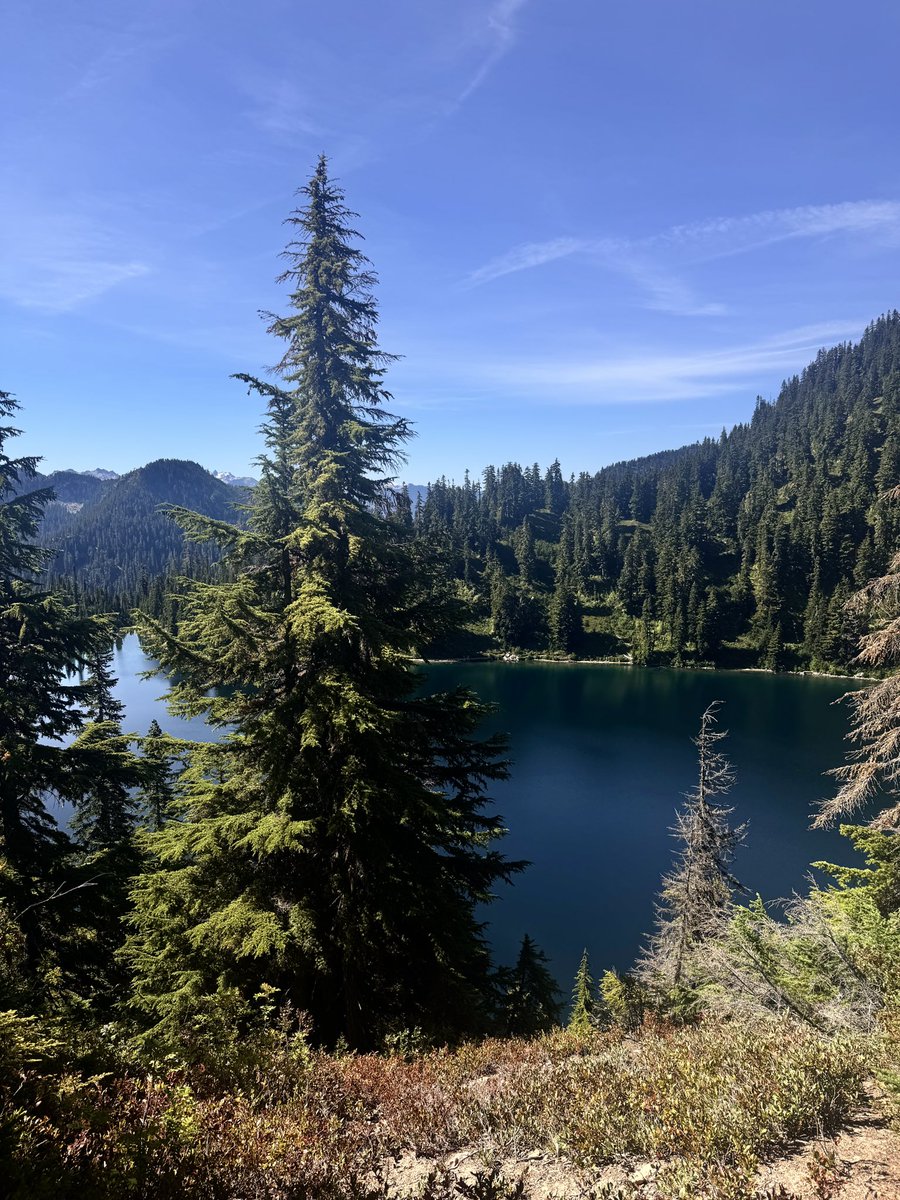 B🦇 (@wydstepbrolol) on Twitter photo 