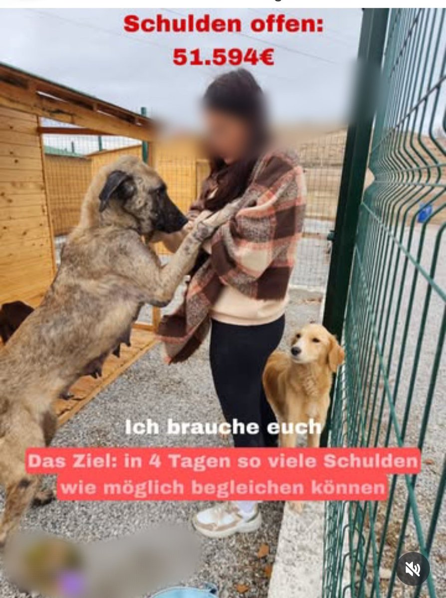 Bu da yurtdışından enayi avında. Türkiye'deki itleri çekip enayi gurbetçi avındalar.   Yapıştır bir duygusal fon müziği gelsin paralar. 
Almanya'da tabi sokakta başıboş it olmayınca nereden çarpacak enayileri 🤑🤑🤑