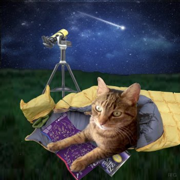 Hello. I'm Angel Heath and I will be your barktender for the next hour here at Astronomy Night. The menu can be found at nipclub.blogspot.com/?m=1 what can I get you? Either @ me or reply to this to order. Dont forget your #nipclub hashtag! Thanks <a href="/RealFakeGator/">Gator The Catahoula</a> for the pic.