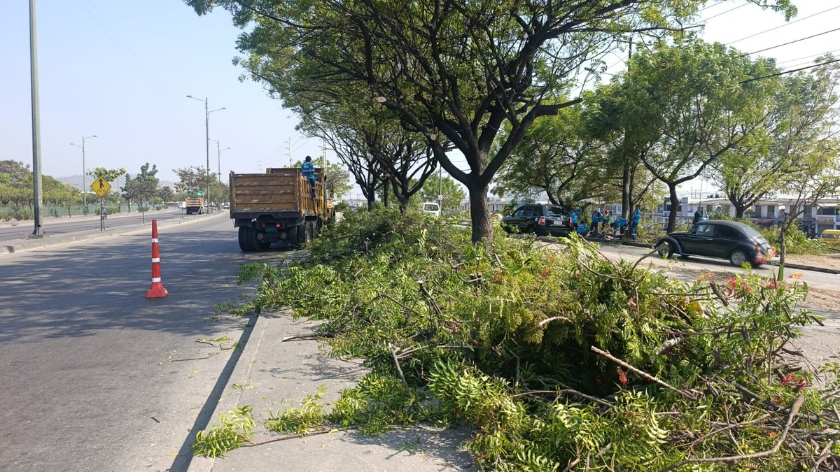 parquesgye's tweet photo. En Mucho Lote 2 avanzamos con fuerza: ejecutamos trabajos de desbroce, poda y limpieza con responsabilidad y constancia. La acción sostenida es nuestra forma de transformar el entorno. #CiudadDetodos #Guayaquil #ParquesEP @alcaldiagye @aquilesalvarez https://t.co/yhPklERDZj