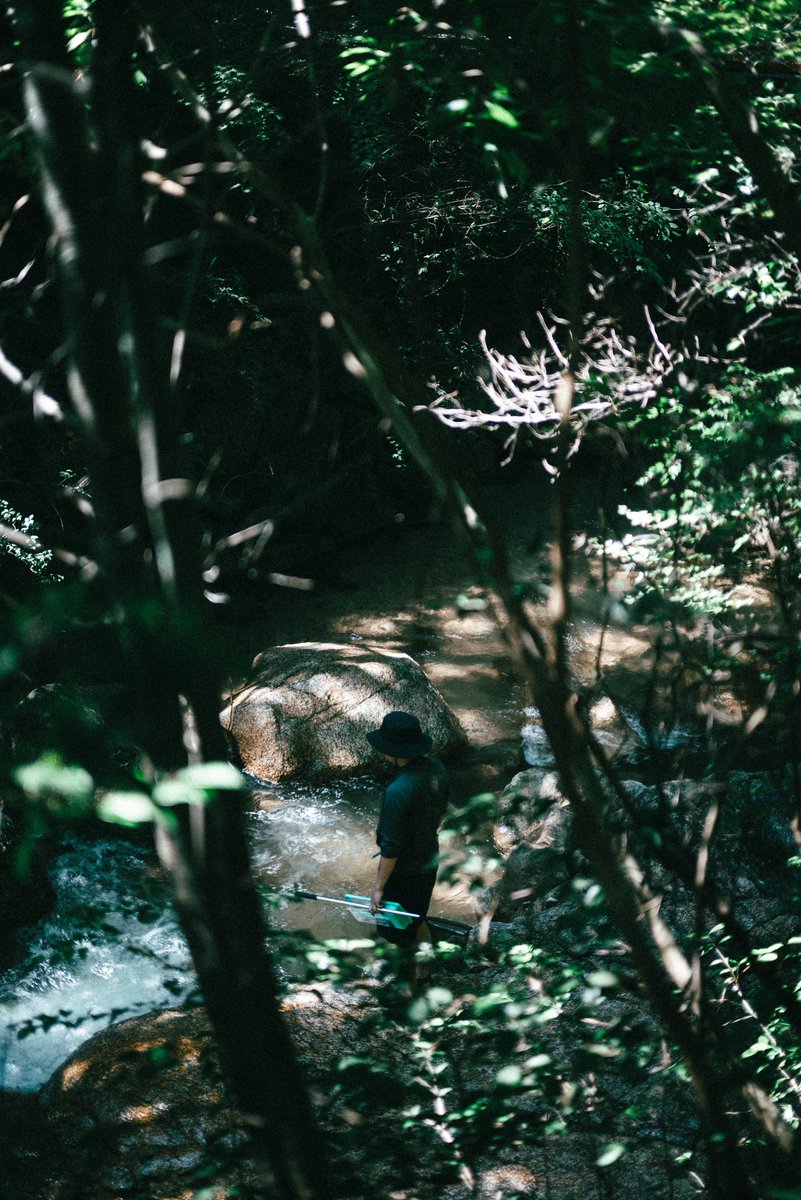 たよ (@ta062yo) on Twitter photo 