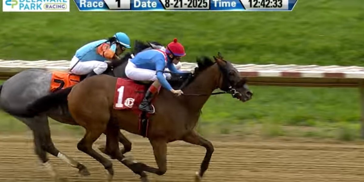 MJM_Stable's tweet image. Crabcakes N Beer gets the win today @DelParkRacing with a strong, perfectly timed late rally under Gabriel Maldonado. Awesome training job by @carrasco_racing and his team with this hard trying gelding. Congrats to all the partners!! @zambrana_eddie