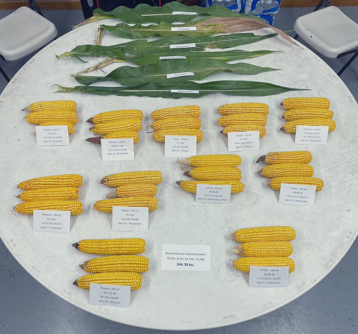 Michael Lemon tweet media