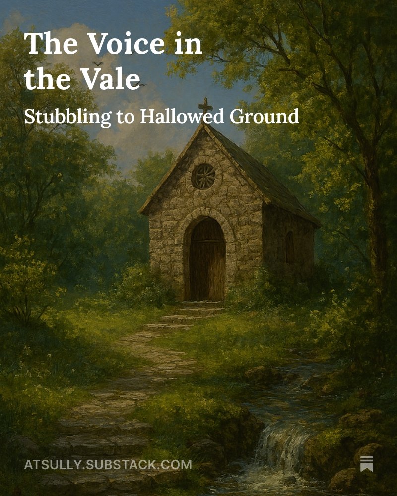 Just a little snippet of fiction I wrote. It is not a complete story for I do not know where the character came from or why they were there. Interested in other's takes to fill in the gap. 

The Voice in the Vale 
open.substack.com/pub/atsully/p/…
