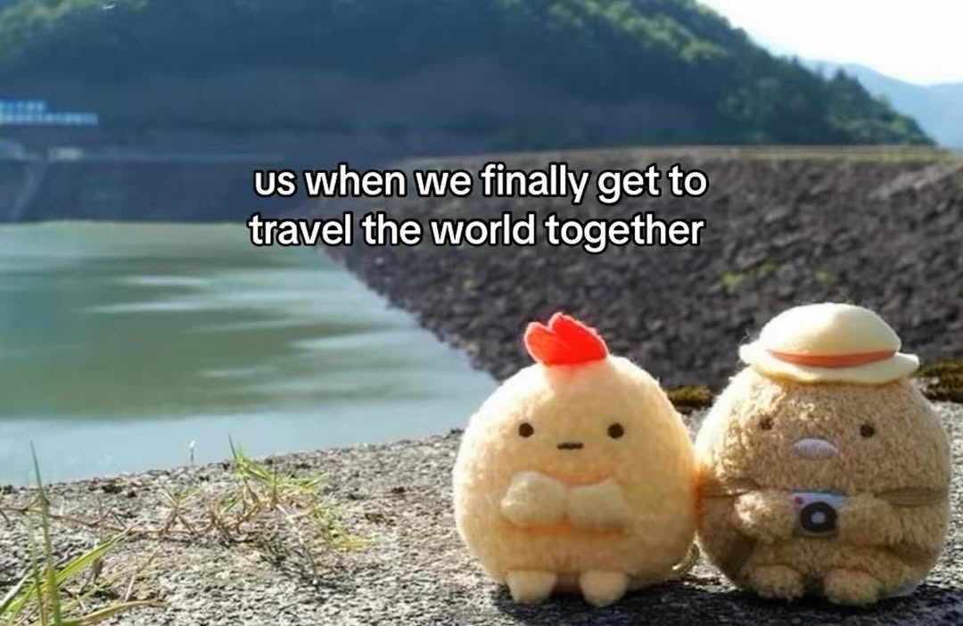 raccoonesthetic's tweet image. 