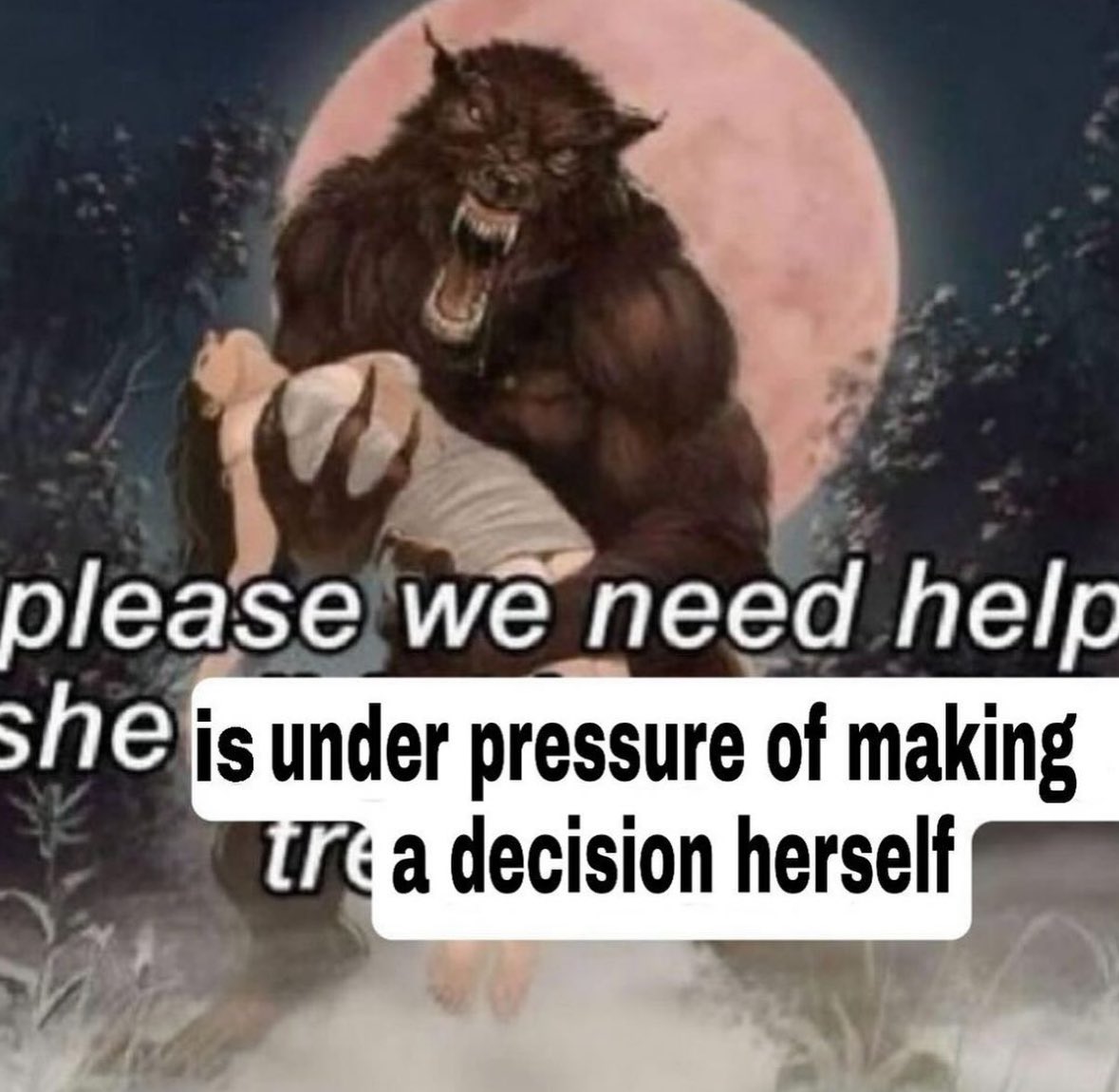 northstardoll's tweet image. 