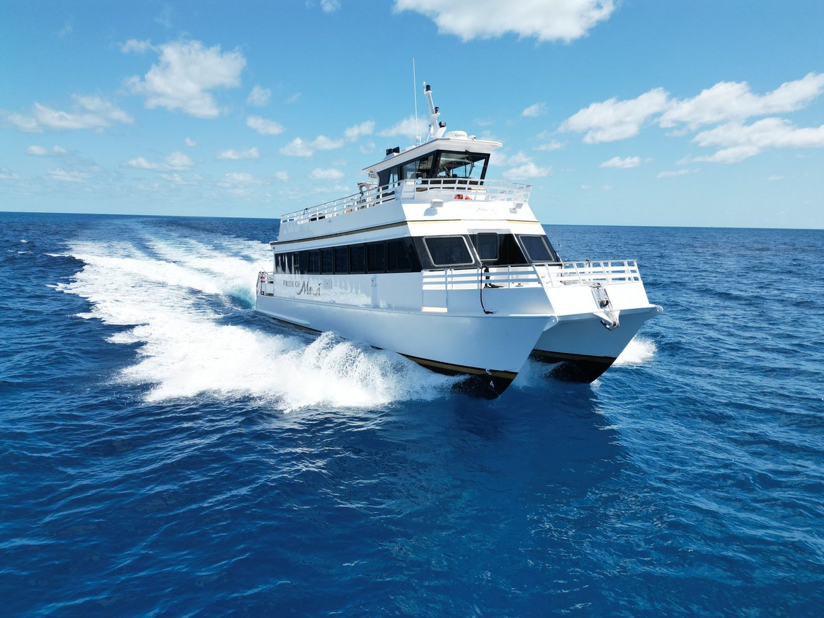 Not all snorkeling tours are created equal. Step aboard the Pride of Maui Elua for a next-level Maui adventure—limited guests, stunning snorkel spots, and a crew that treats you like a VIP. Book direct at prideofmaui.com and get our lowest price of the year if you book by