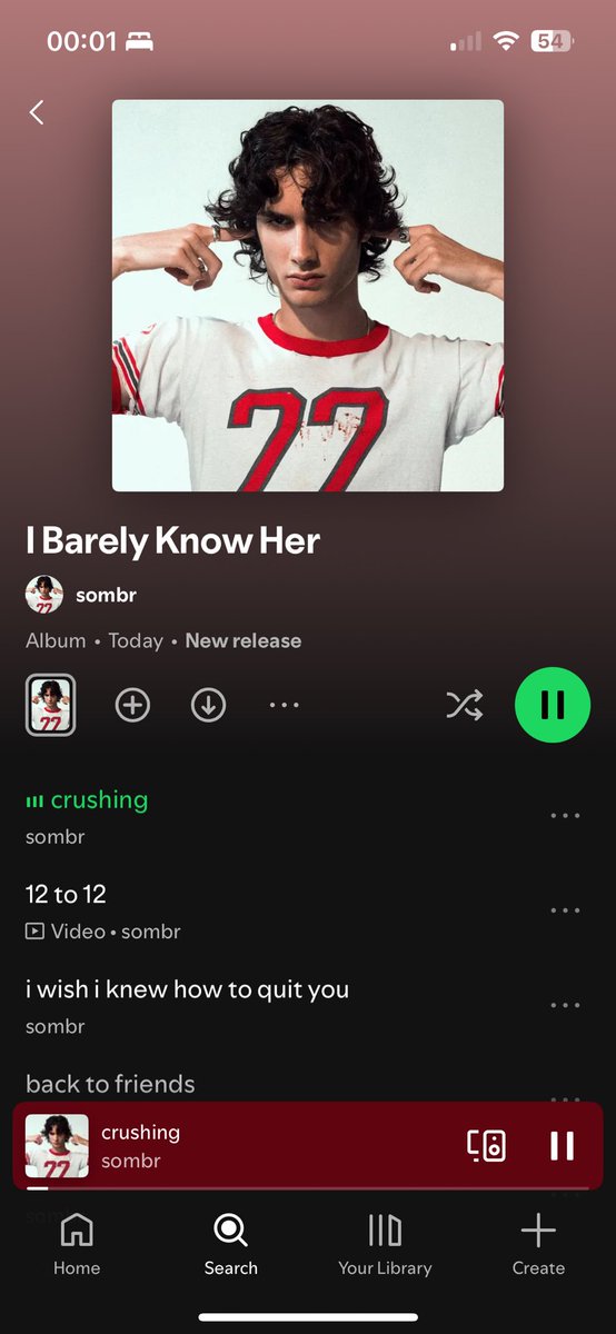 unfortunately i did fall for the sombr propaganda