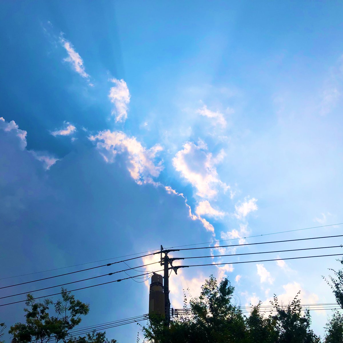 おはようございます！
今日は8月22日金曜日ですね。

夏バテ気味なので、無理なくすごそうと思います。……あの夏の雲に負けないように、ですね。

よい一日になりますように🍀

#空がある風景 
#キリトリセカイ 
#ファインダー越しの私の世界 
#カコソラ