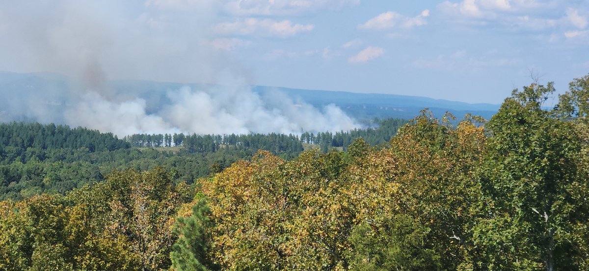 Picture of a wildfire that broke out this afternoon between Hot Springs and Lonsdale. Crews are out fighting the fire now. 

Thanks to Robert J Simonis for sharing this picture. #ARwx