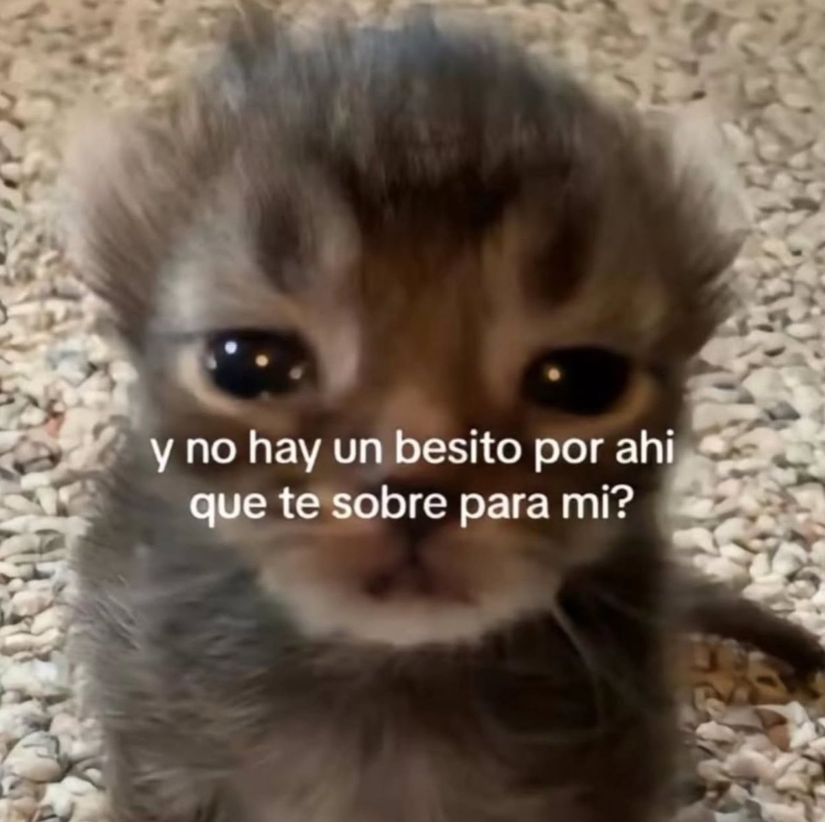 fearreolam's tweet photo. https://t.co/CeNwVKUZXa