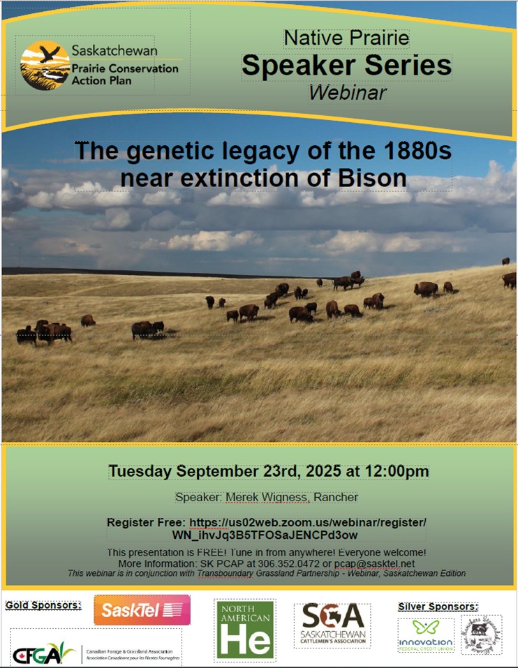 SaskPCAP's tweet image. Native Prairie Speaker Series – Webinar 
Join us for a presentation by Bison Rancher, Merek Wigness about “The genetic legacy of the 1880s near extinction of Bison”
Tuesday September 23rd, 2025 at 12:00pm
Register Free: shorturl.at/a4V3t
Everyone is welcome to attend!