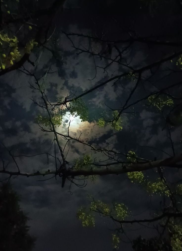 تُضيءُ اللّيالي في الظّلامِ كأنّها
 بدرٌ سرى بينَ السّحابِ يحُومُ