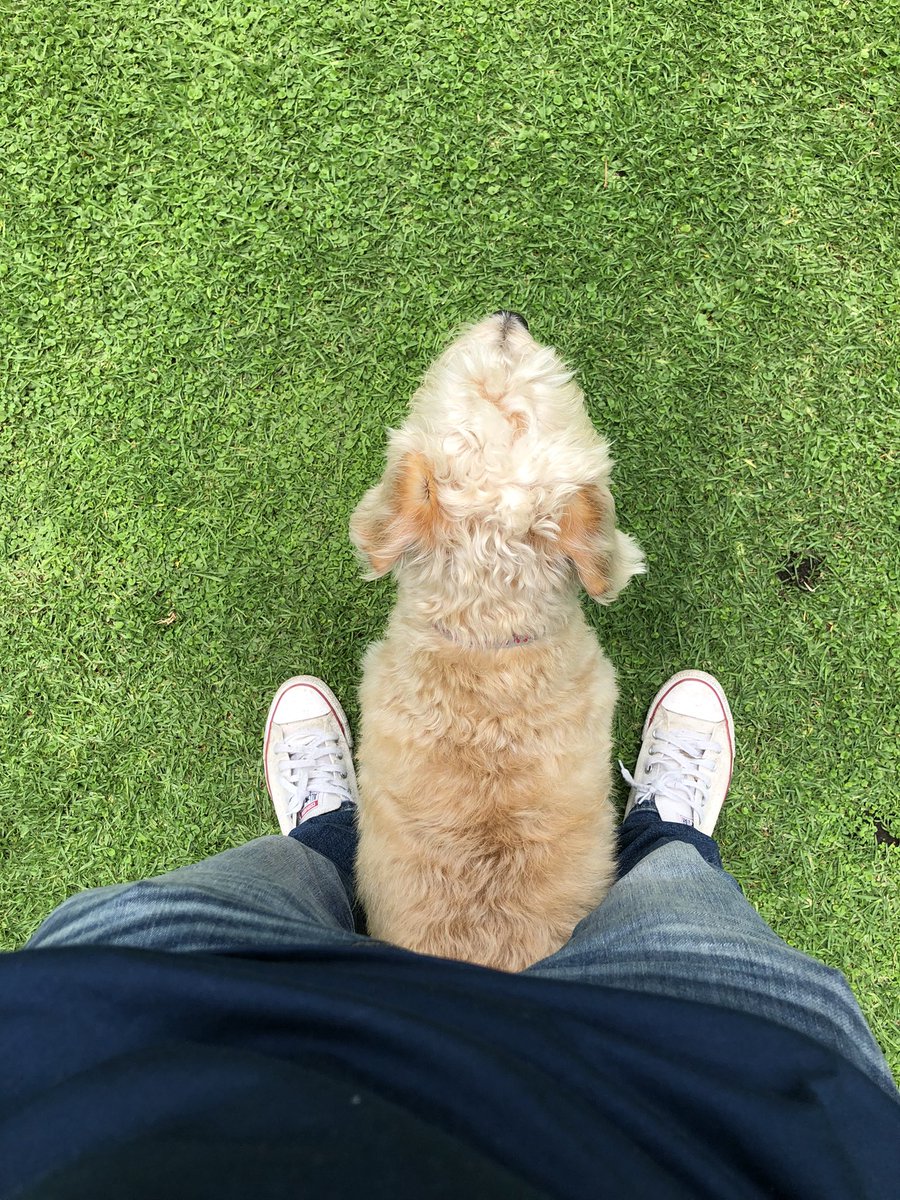 Alex7ny's tweet image. Modo guardián ✅ activado