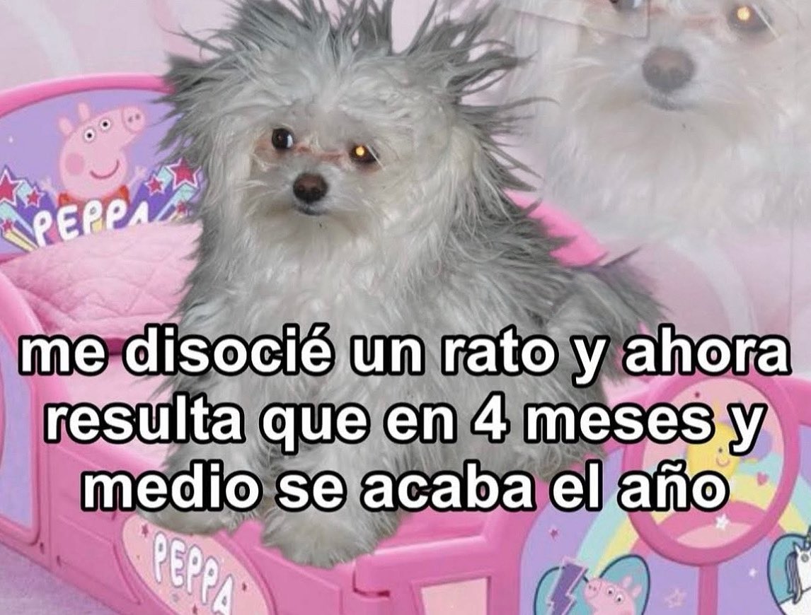 emociones amarillas (@conoloracigarro) on Twitter photo 