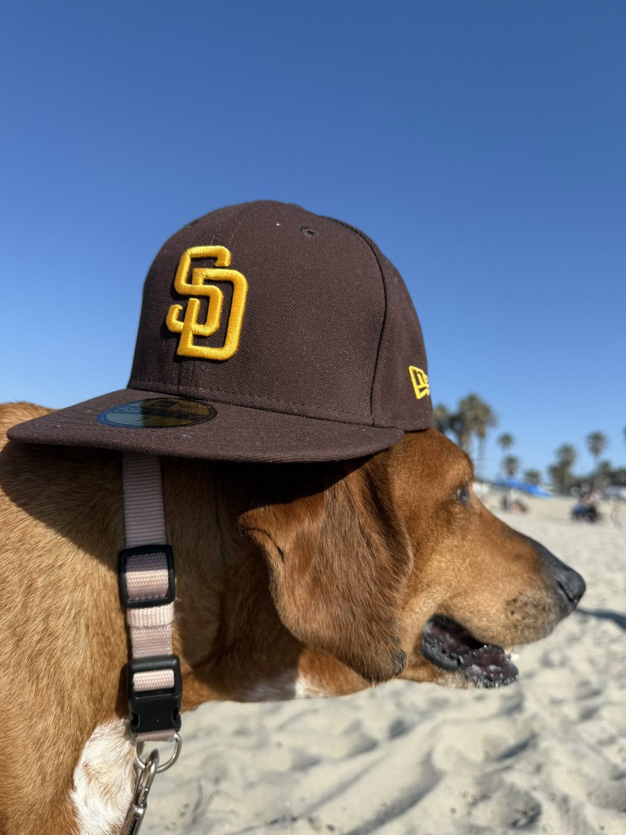 user495837's tweet photo. #padrespets https://t.co/M7sL26Su7A