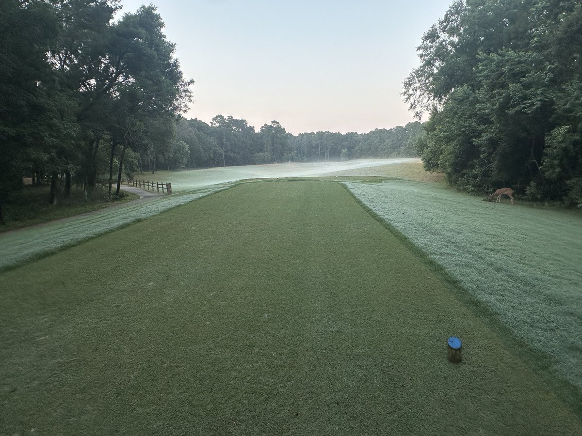 Our fraise on several tees turned out great! .. this is 30 days after. Grow back included weekly apps Calcium Nitrate, on top of an early heavy app of <a href="/HarrellsLLC/">Harrell’s LLC</a> Polyon, topdress, and a couple sprays of <a href="/HarrellsLLC/">Harrell’s LLC</a> foliars. Reshaped mow patterns also. Others will get same now