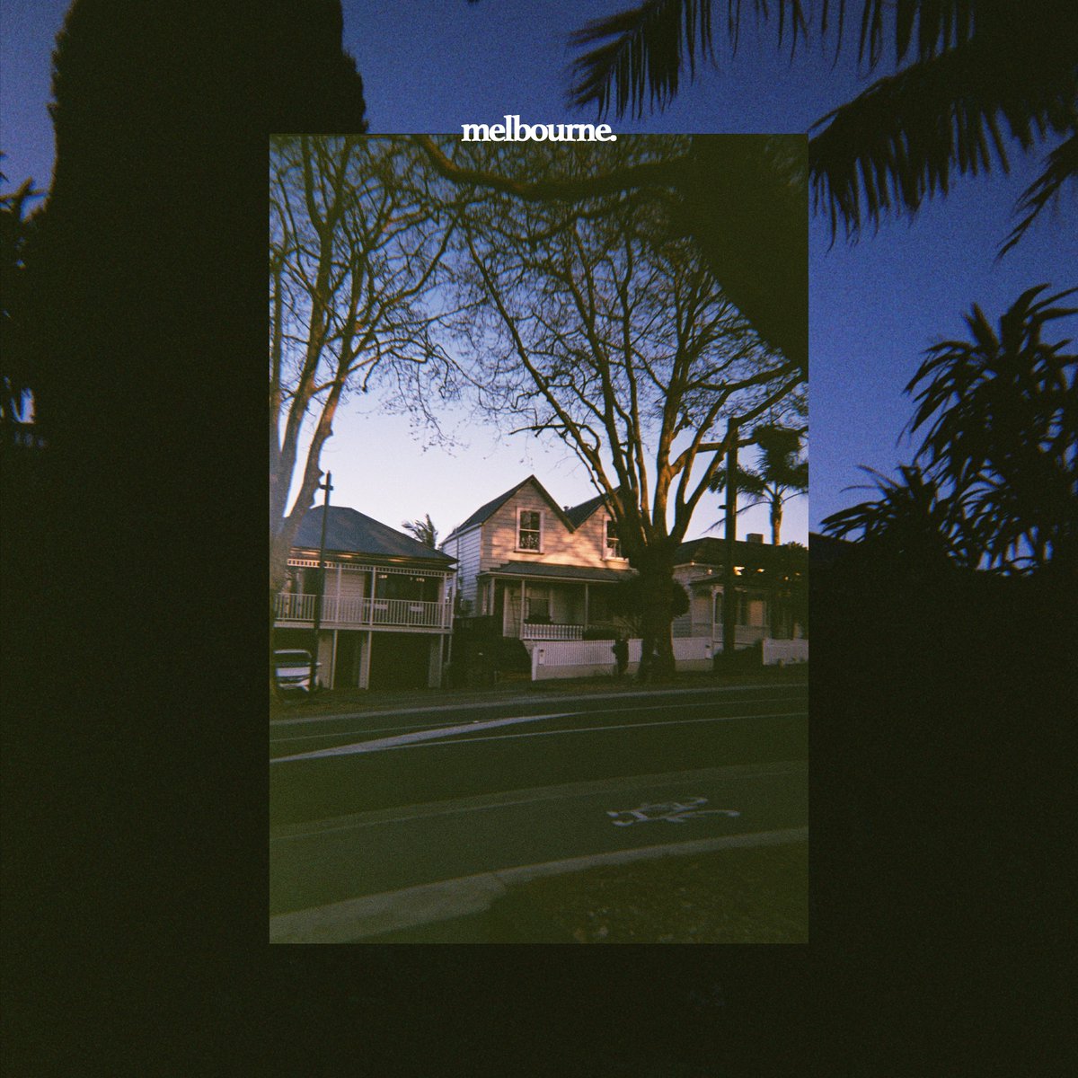 acid stag tweet media