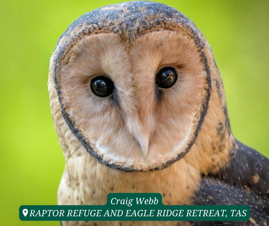 Wildlife Land Trust tweet media