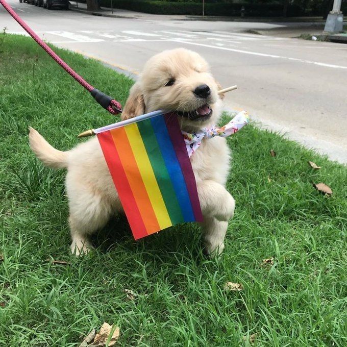 Lista de livros LGBTQIA+ que vão participar do #EnchaSeuKindle pra você salvar!! 🏳️‍🌈✨

Rt e fav são bem-vindos!