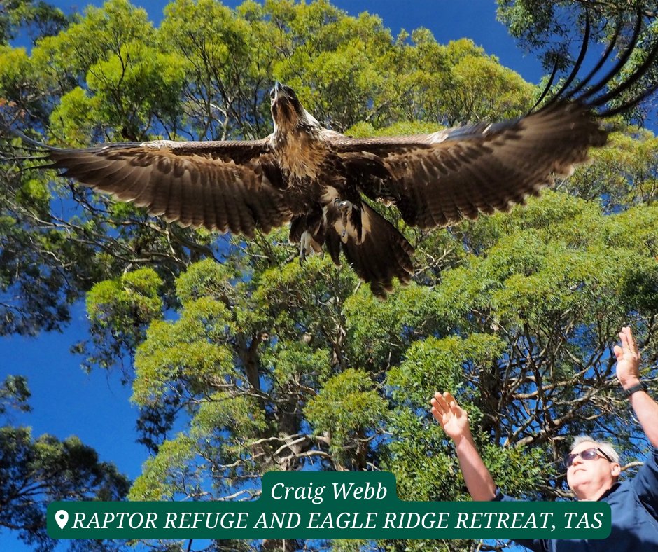 Wildlife Land Trust tweet media