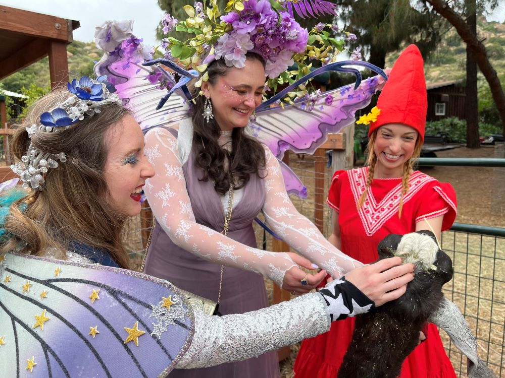 AFaeryhunt's tweet photo. Join A Faery Hunt down on the Farm!
When: Sun., Aug 24 at 10:30 a.m.
Where: Kindred Spirits Care Farm
How: Purchase tickets here: https://t.co/DBVuo6AV45
More info: https://t.co/jIJchb9Pp8 https://t.co/GCSmsfpu7v