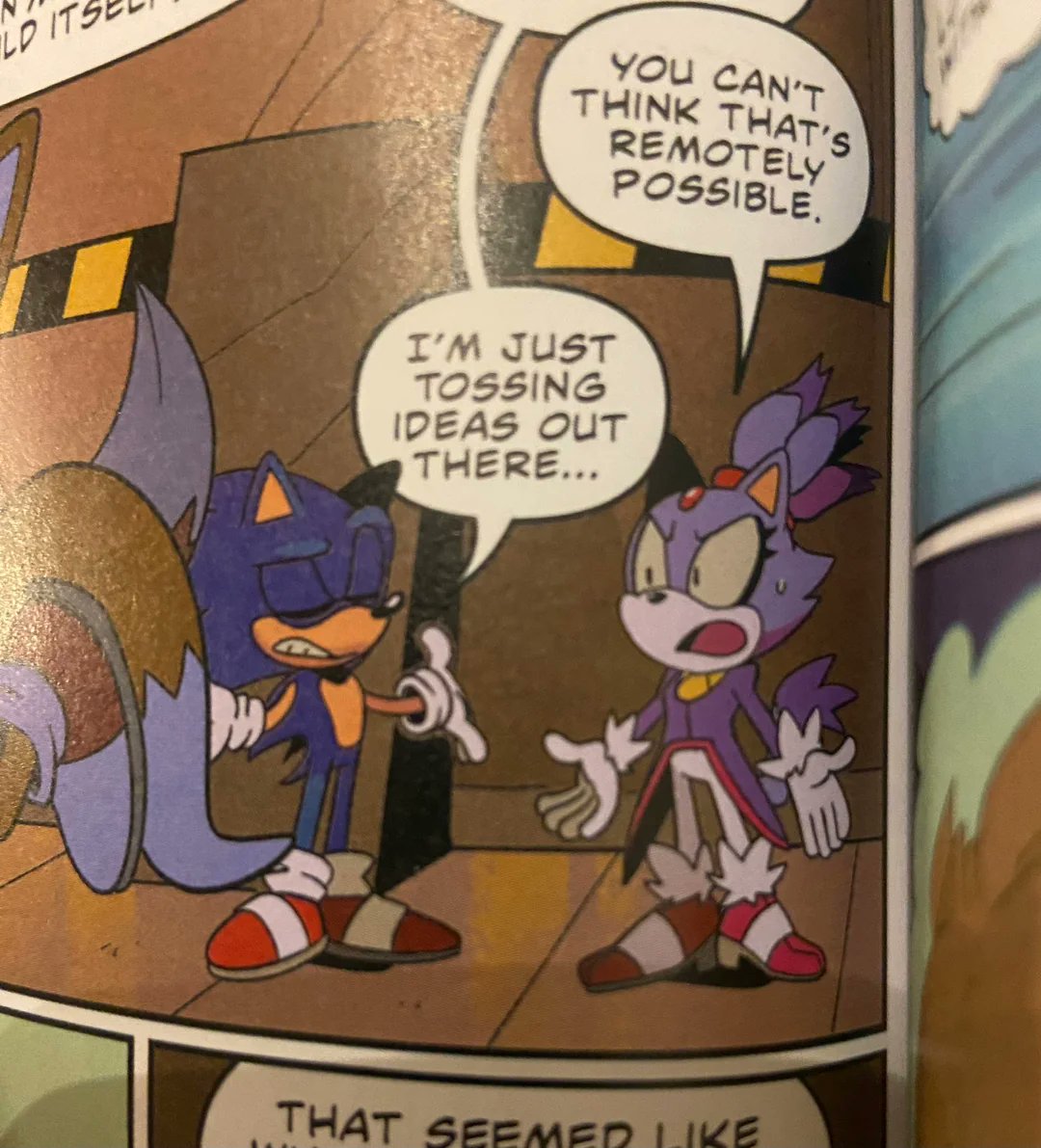 I still remember how lame it was that they changed Blaze's face in this IDW panel. Unsure if it was due to the immense fan backlash on Twitter or a direct order from Sonic Team/Sega