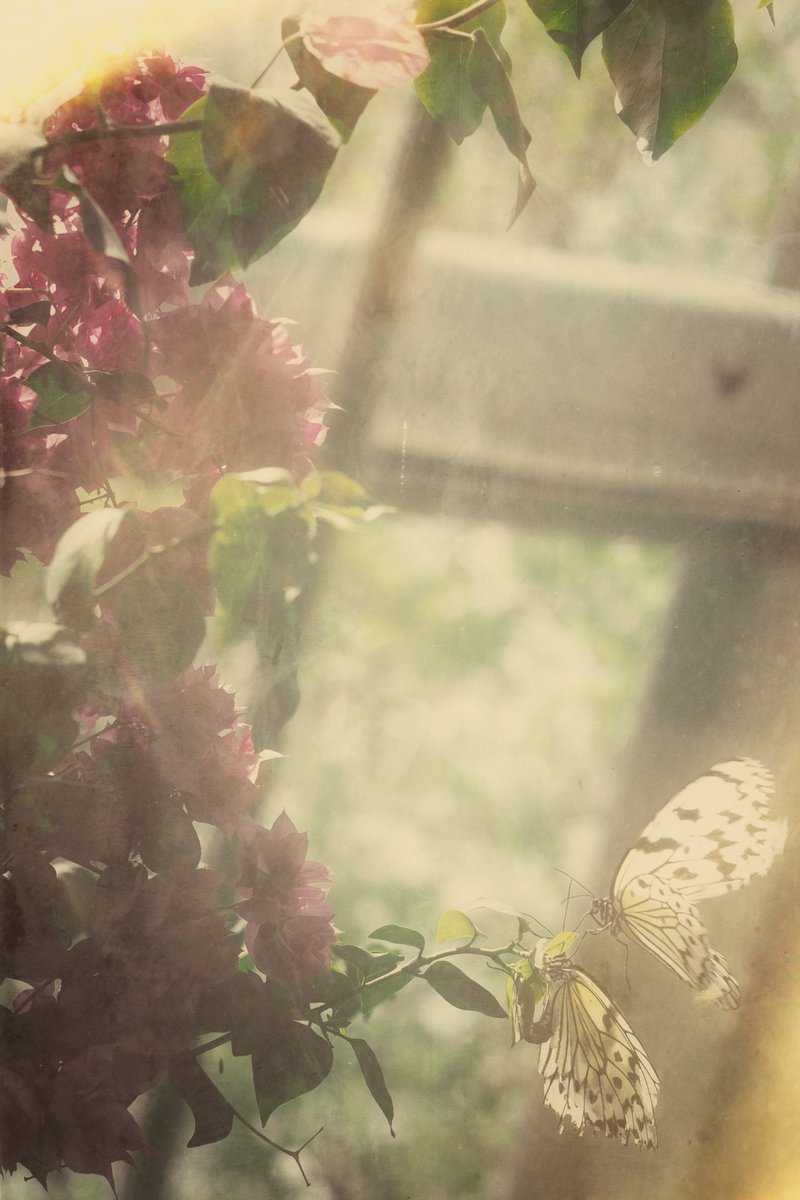 すべてが夢の中ならいいのに

#gallery_no8