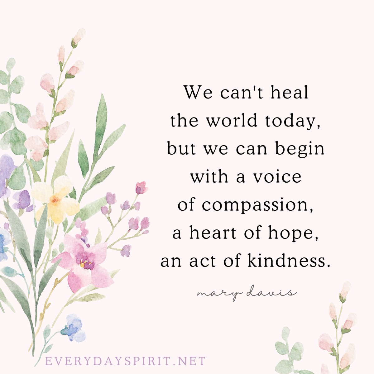 We can't heal the world today, but we can begin 
with a voice of compassion, a heart of hope, 
an act of kindness. - Mary Davis