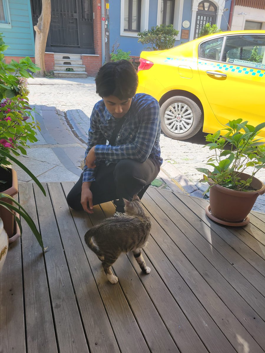 Kamify (@kamifyyy) on Twitter photo 