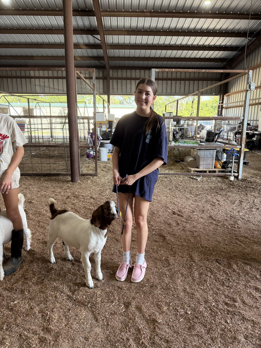 Dedication looks like this: PHS Ag Science Teacher Mrs. Kayla Doyle &amp; our PHS FFA members putting in the hard work, after school and in the heat, to practice showing their Market Goats. That’s commitment! 💪🌟 #ProsperProud <a href="/ProsperHS/">Prosper High School</a> <a href="/prosperCTE/">Prosper CTE</a> <a href="/Paige_Trujillo_/">Paige Trujillo</a> <a href="/JimmyFrideley/">Jimmy Frideley</a>