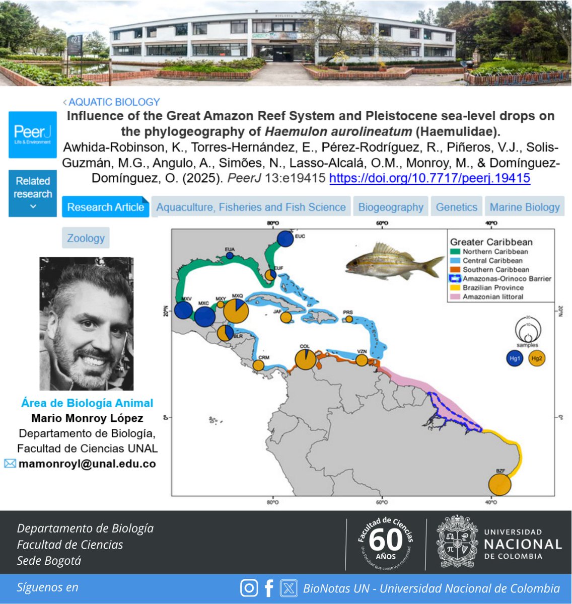 Invitamos a leer el último artículo donde participa nuestro profe del Departamento de Biología UN, Mario Monroy López🐟. Enlace: doi.org/10.7717/peerj.… <a href="/CienciasUNALBog/">Facultad de Ciencias - Universidad Nacional</a>